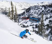 skideal